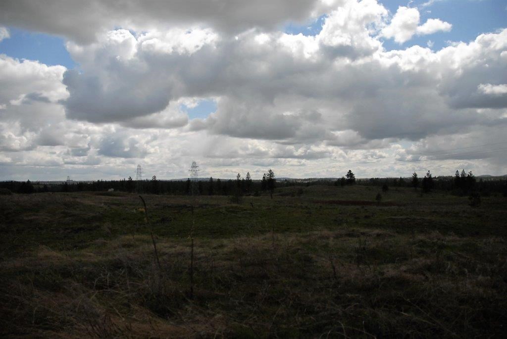 Xx West Jacobs Road Spokane, WA 99224 - Photo 7 of 8