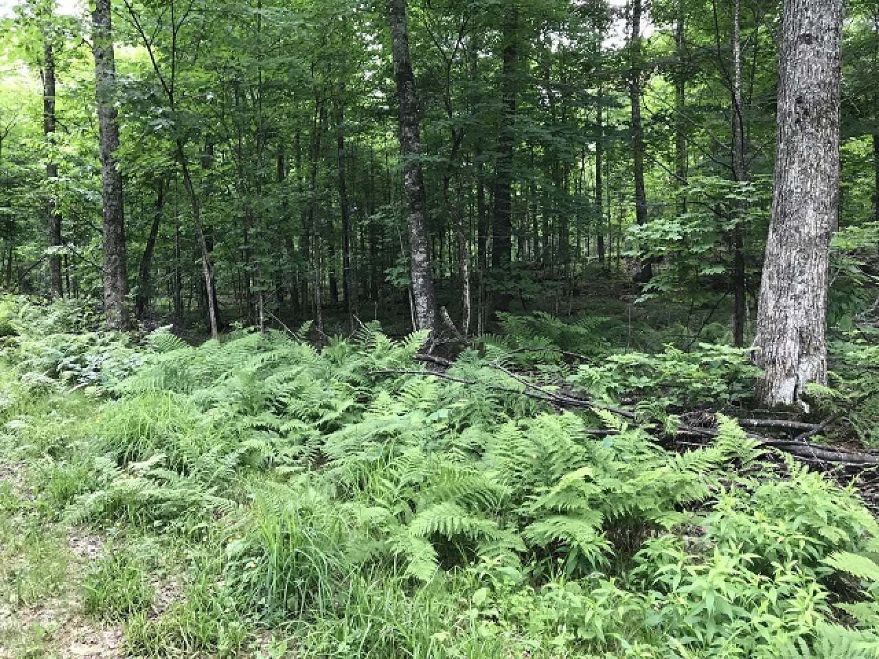 Tbd Off Hadley Road Mercer, WI 54547 - Photo 27 of 27 Gallery Image 27