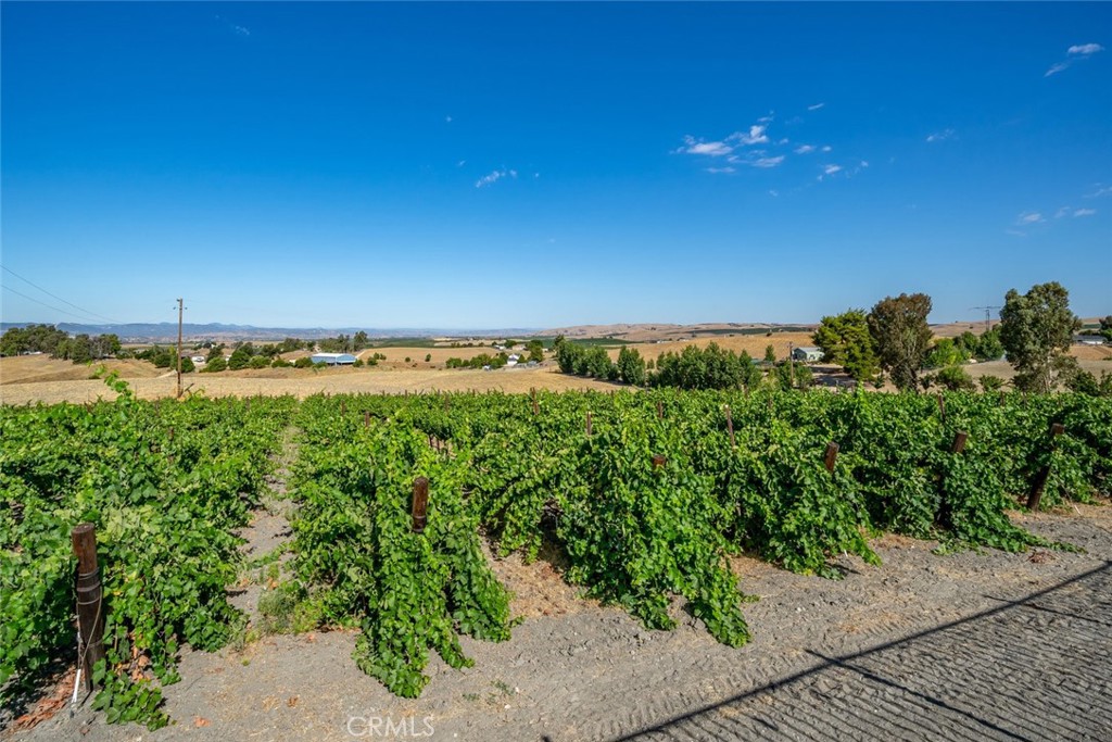 6172 Hawk Ridge Place San Miguel, CA 93451 - Photo 16 of 54 Vineyard View from Pool Area