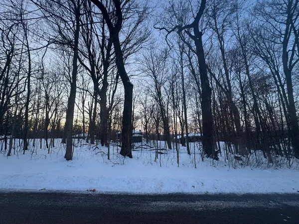 a view of outdoor space with lots of trees