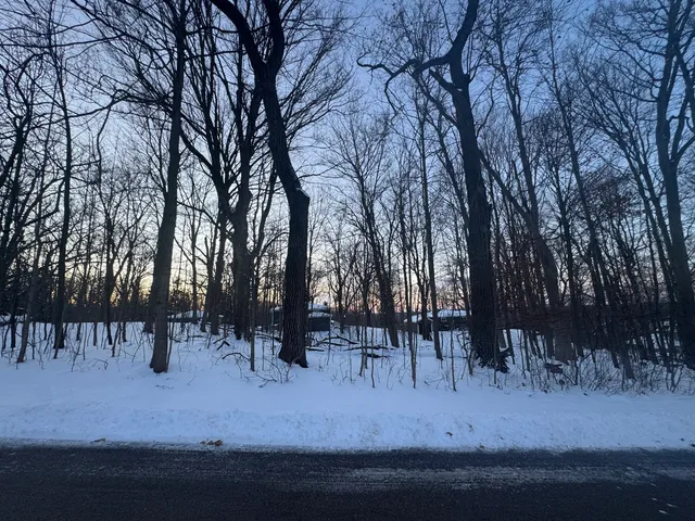 a view of outdoor space with lots of trees