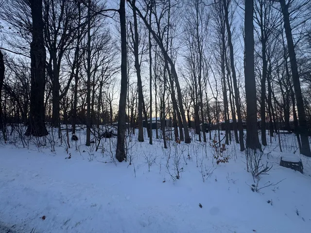 a view of a yard with a tree