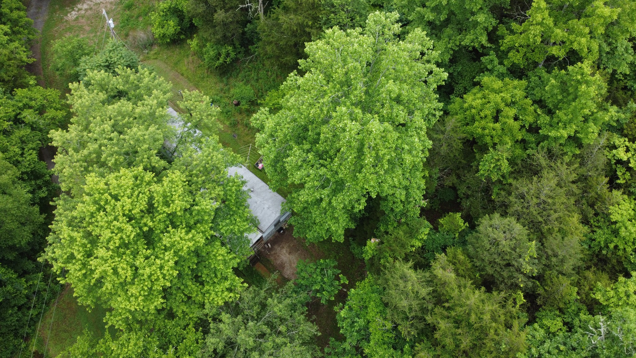32 Patterson Lane Pleasant Shade, TN 37145 - Photo 5 of 33