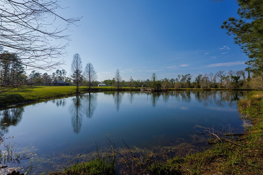3497 Brown Road Valdosta, GA 31601 - Photo 22 of 73 Gallery Image 22