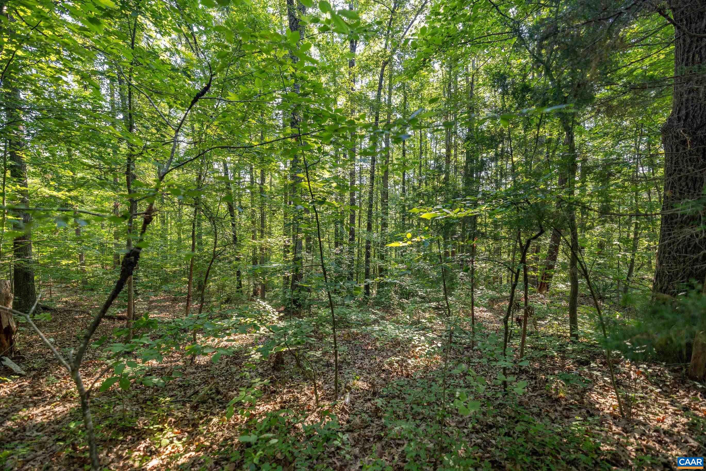 201 Stag Road Bremo Bluff, VA 23022 - Photo 7 of 23 Gallery Image 7