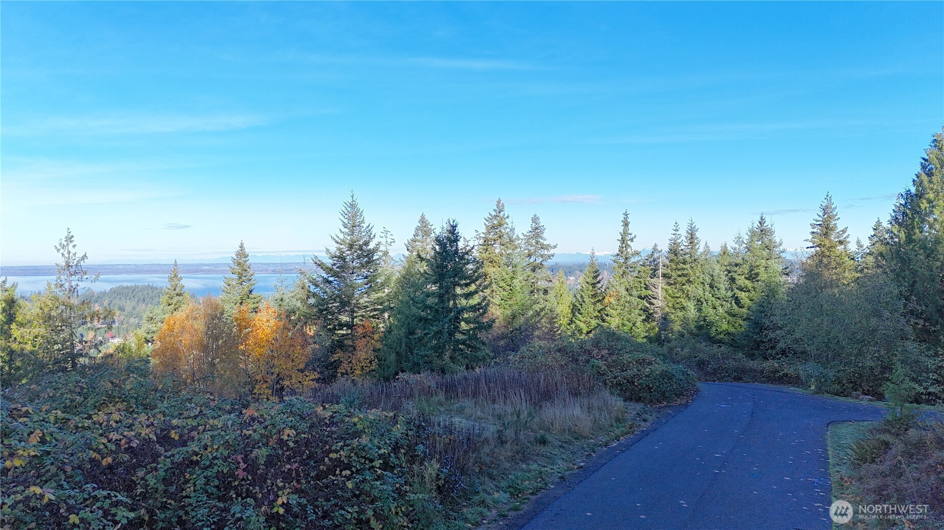 2408 SONORA Lane Bellingham, WA 98229 - Photo 11 of 17 a view of a city with lush green forest