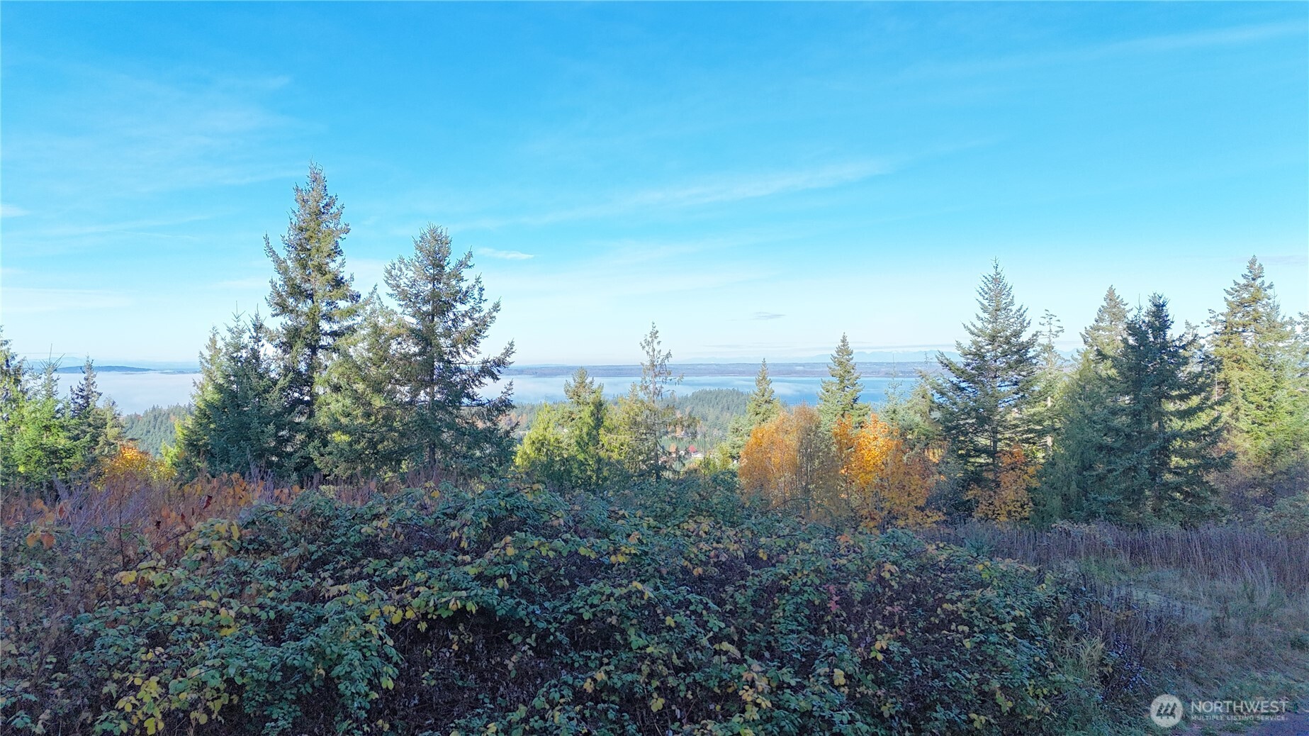 2408 SONORA Lane Bellingham, WA 98229 - Photo 13 of 17 a view of lake