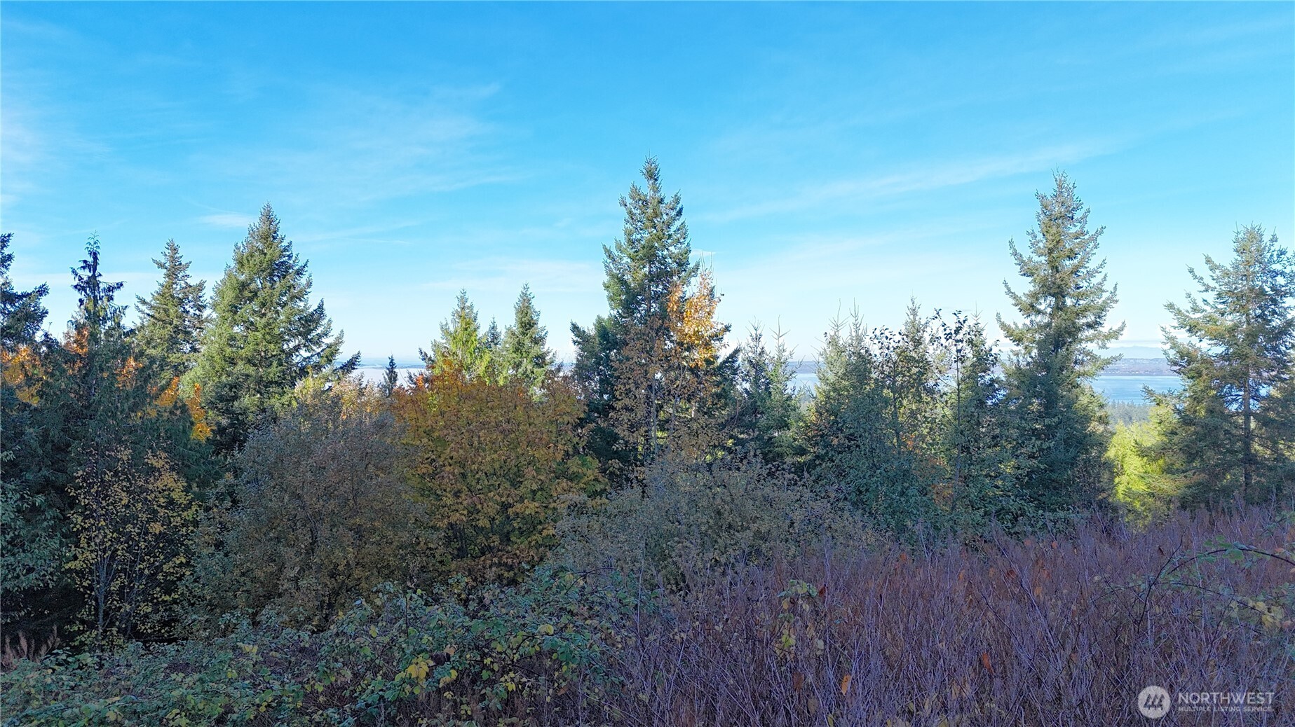 2408 SONORA Lane Bellingham, WA 98229 - Photo 14 of 17 a view of a yard with a house
