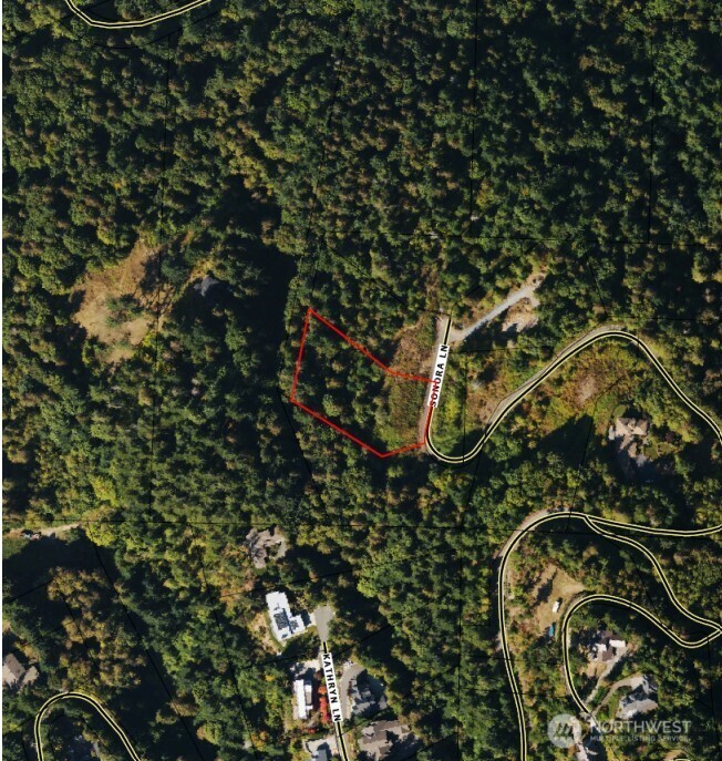 2408 SONORA Lane Bellingham, WA 98229 - Photo 17 of 17 a picture of a tree