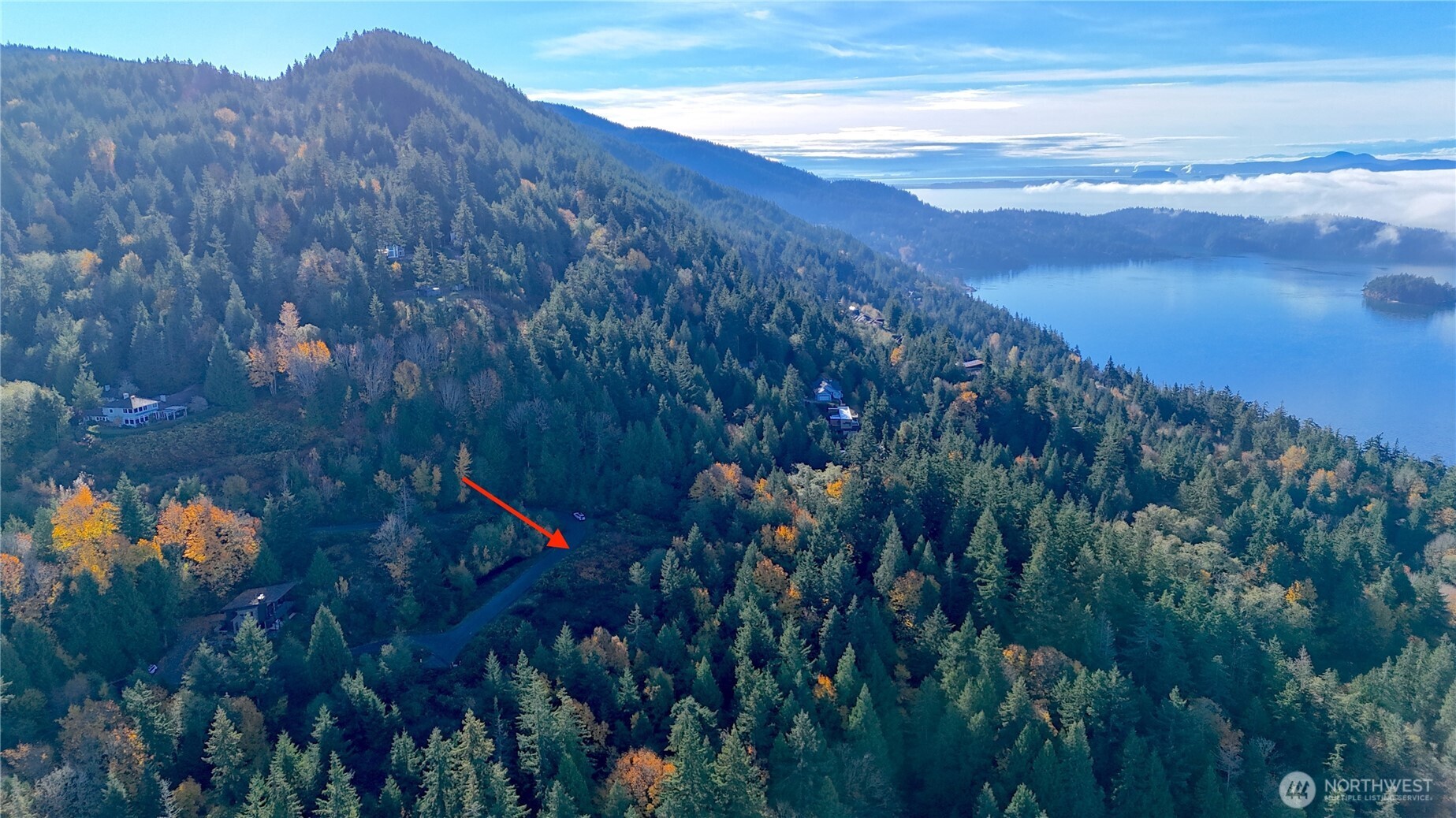 2408 SONORA Lane Bellingham, WA 98229 - Photo 5 of 17 a view of a forest with a mountain in the background