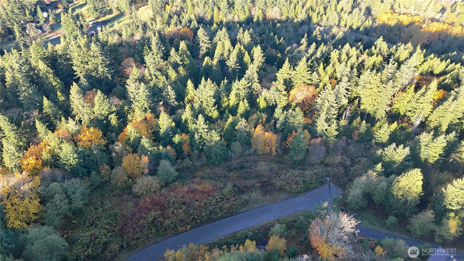 2408 SONORA Lane Bellingham, WA 98229 - Photo 8 of 17 a view of a yard with wooden fence