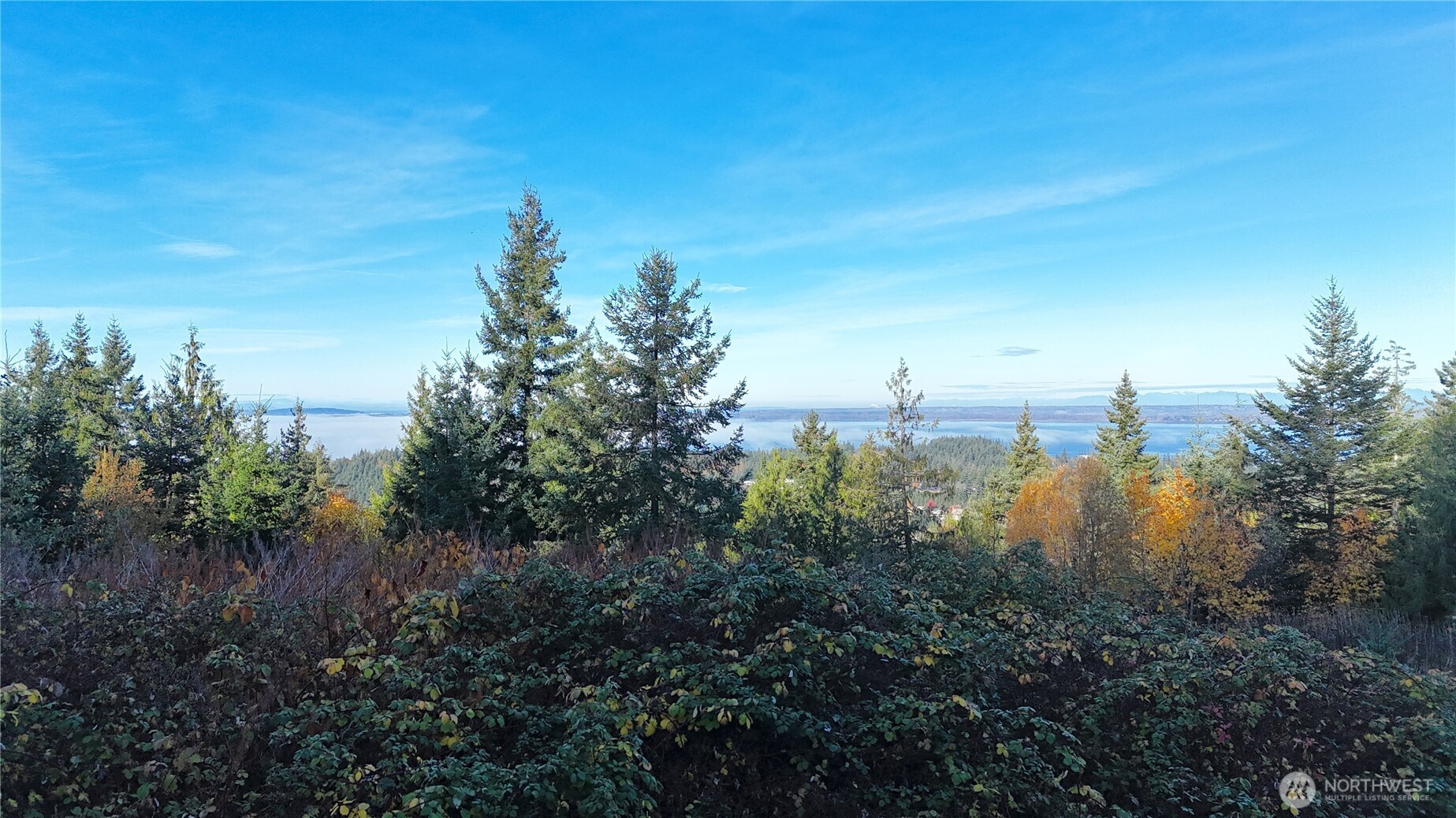 2408 SONORA Lane Bellingham, WA 98229 - Photo 10 of 17 a view of a city