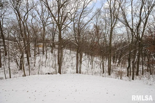 a view of snow on a road