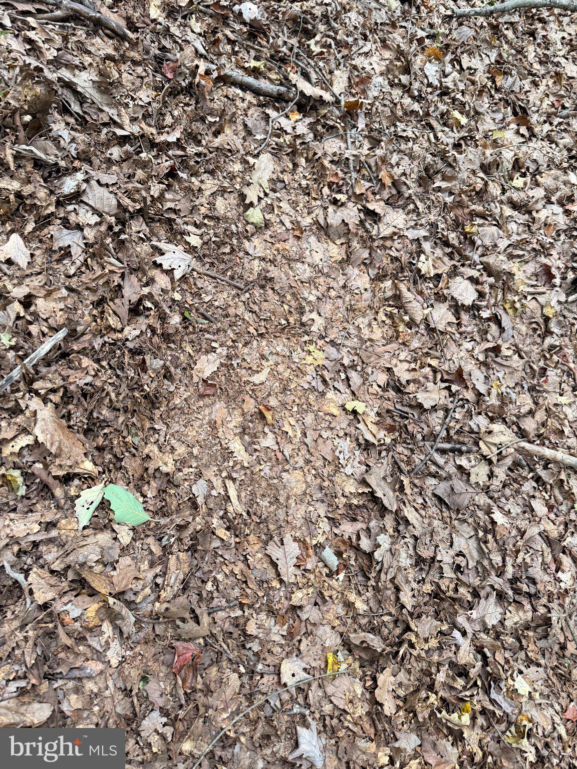 24200 East Hancock Road Flintstone, MD 21530 - Photo 105 of 126 Deer bed