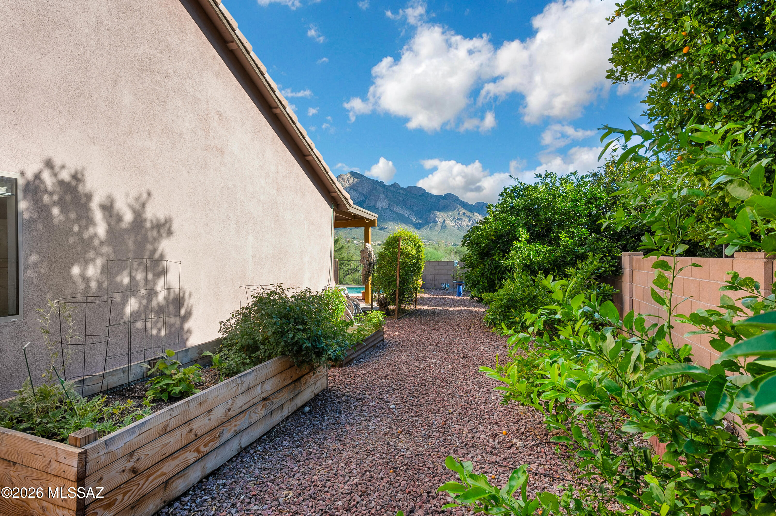 238 East Shore Cliff Place Oro Valley, AZ 85737 - Photo 25 of 27 Garden