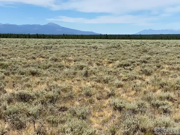 $225,000 | 4335 Pine Grouse Road, Island Park, ID 83429