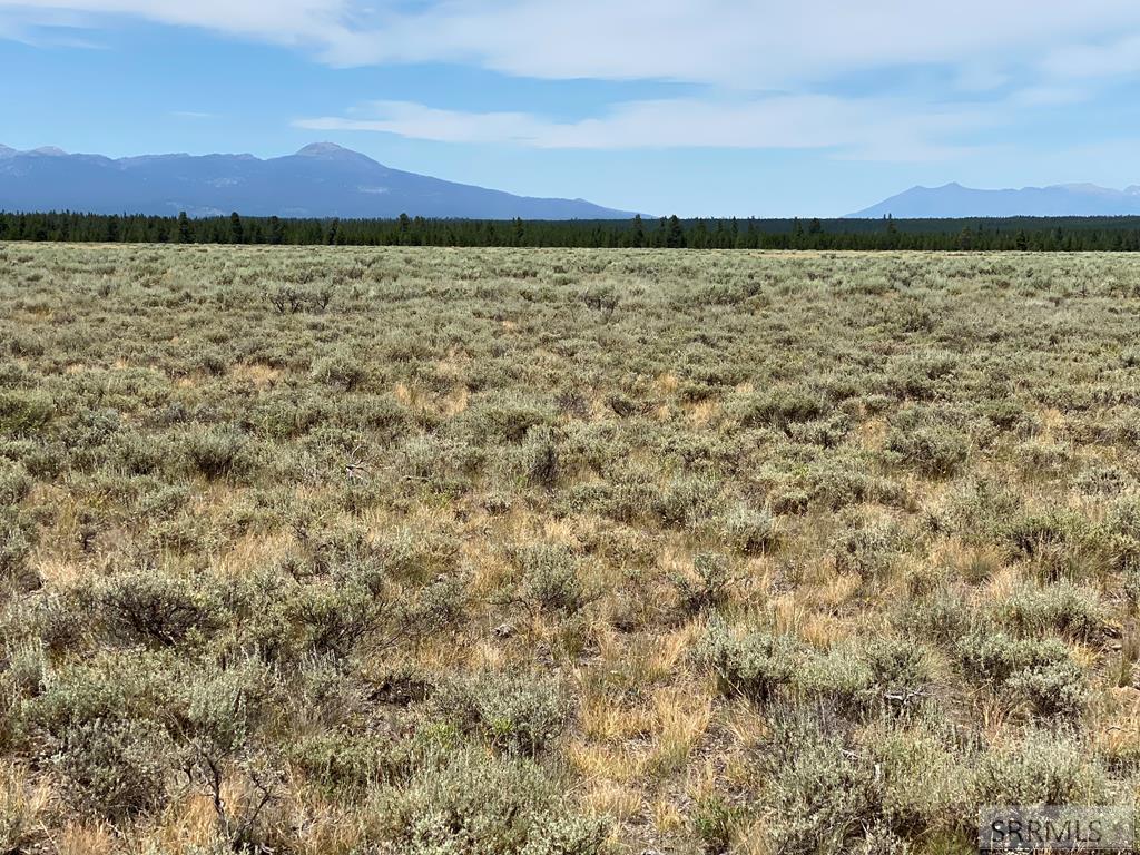 4335 Pine Grouse Road Island Park, ID 83429 - Photo 3 of 6