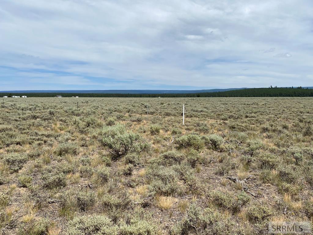 4335 Pine Grouse Road Island Park, ID 83429 - Photo 4 of 6