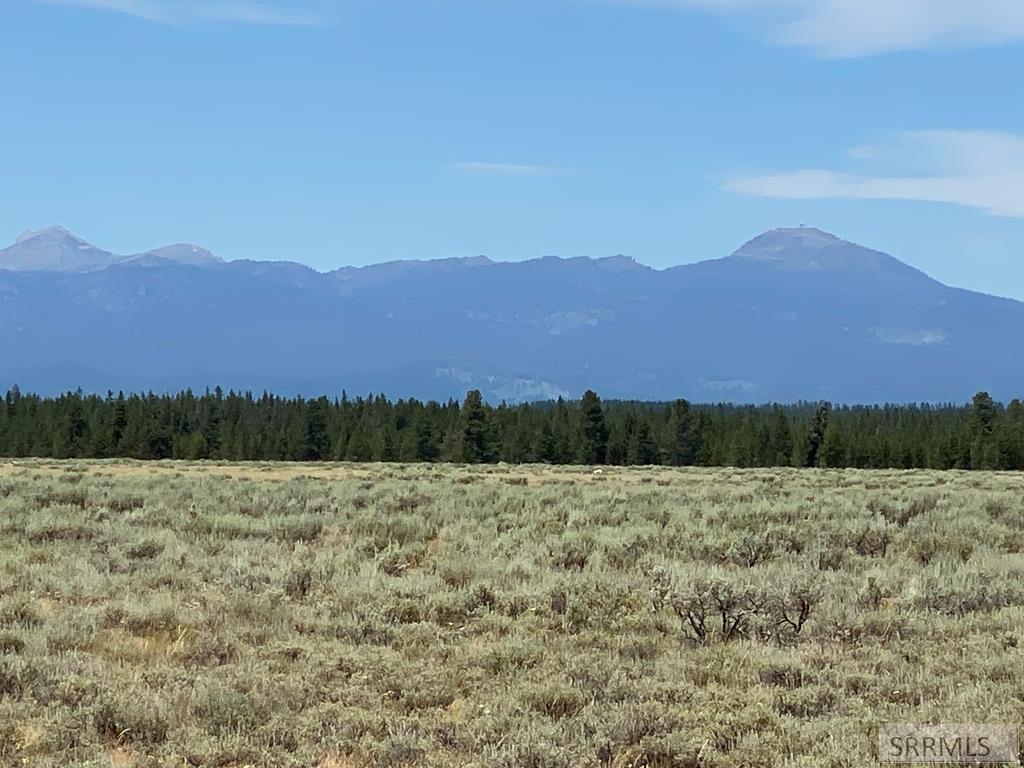 4335 Pine Grouse Road Island Park, ID 83429 - Photo 5 of 6