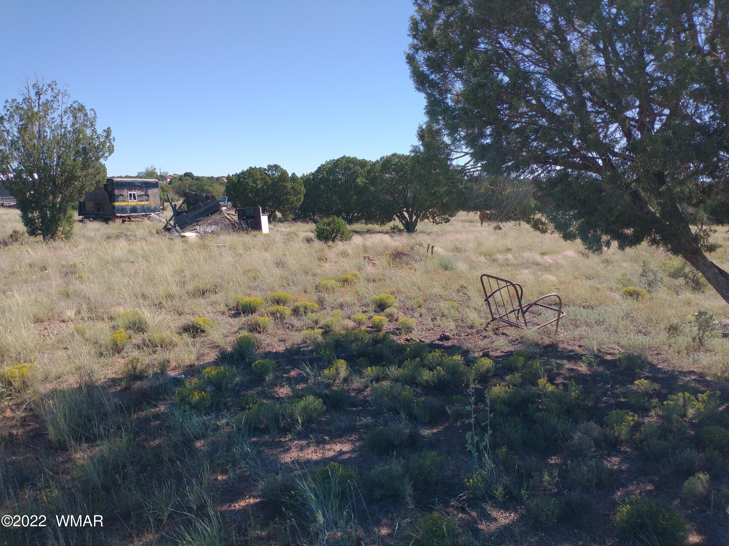 4329 Indian Bend Road Snowflake, AZ 85937 - Photo 8 of 24