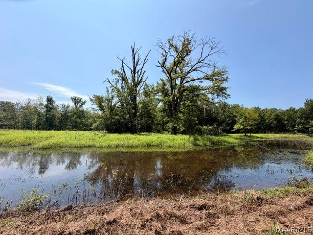 0 County Road 2 Road Hardaway, AL 36039 - Photo 18 of 24 Gallery Image 18