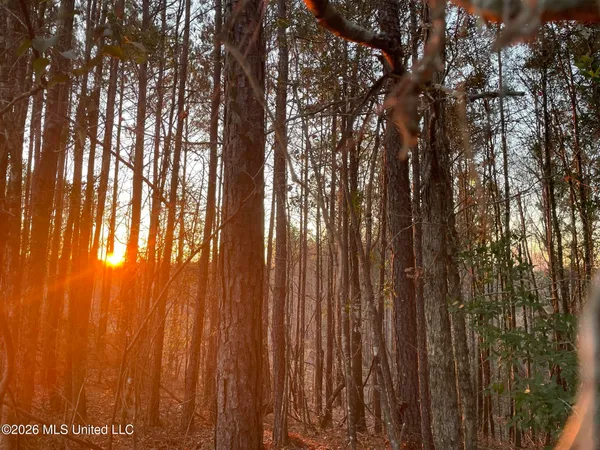 $45,000 | 371 Southwest Low Water Lane, Brookhaven, MS 39601