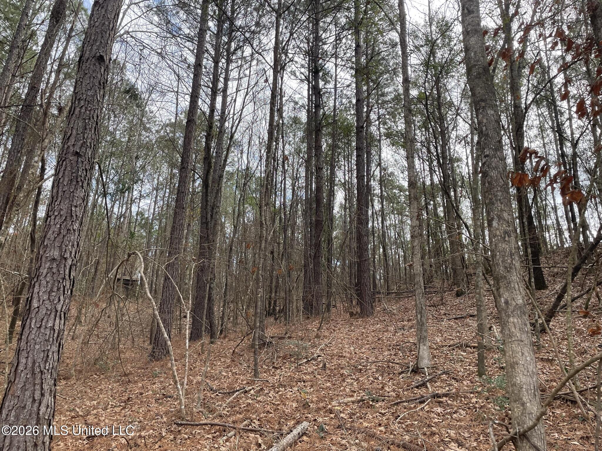 371 Southwest Low Water Lane Brookhaven, MS 39601 - Photo 11 of 12 IMG_0919