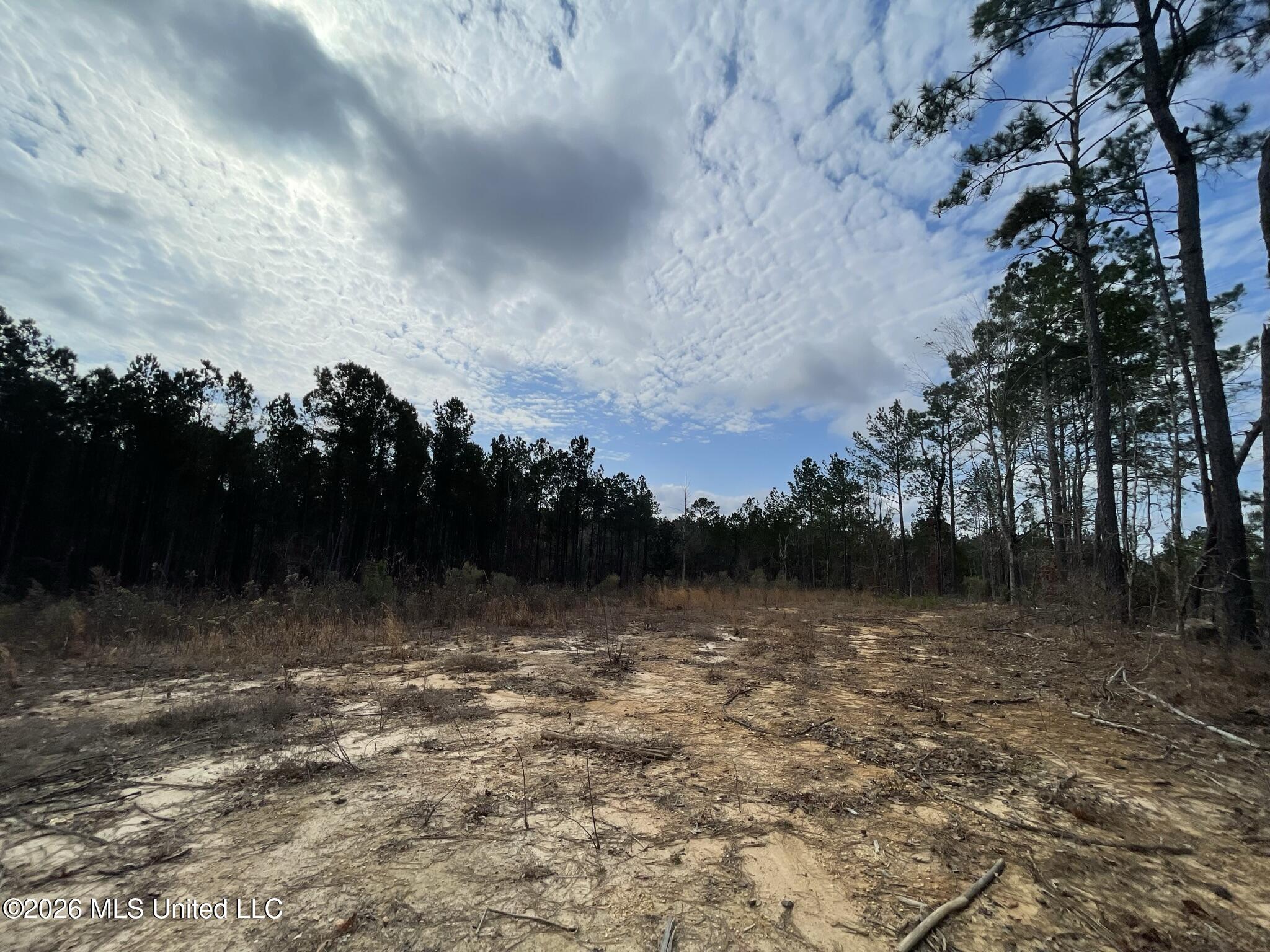 371 Southwest Low Water Lane Brookhaven, MS 39601 - Photo 5 of 12 IMG_0912