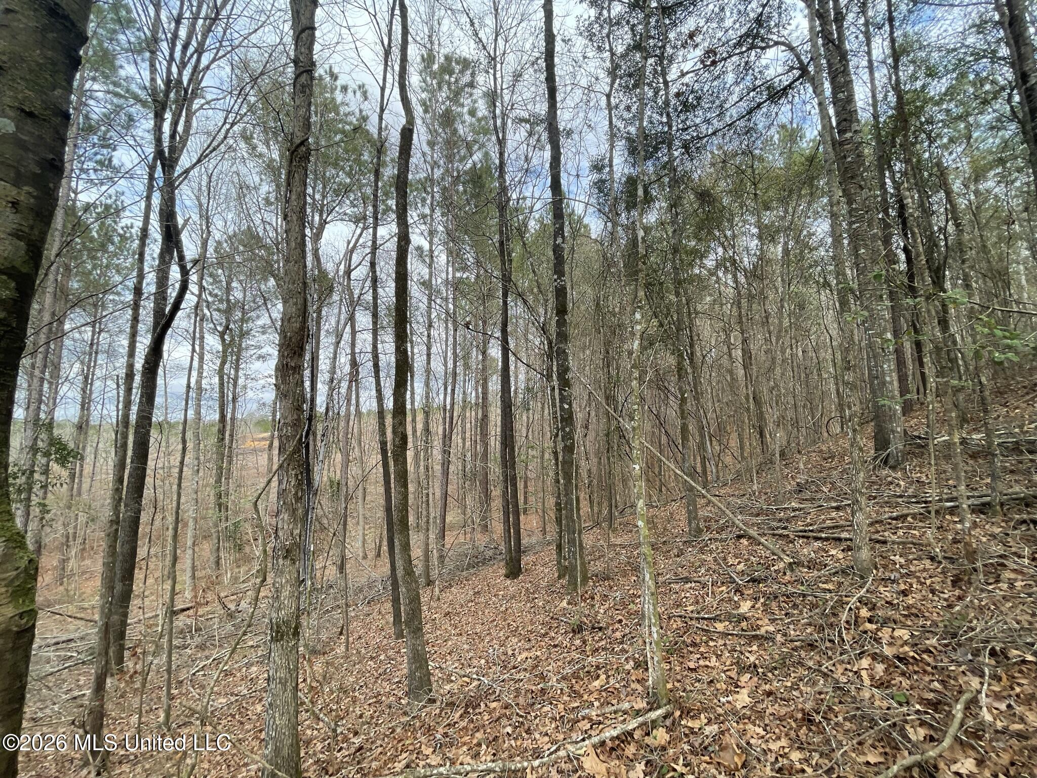 371 Southwest Low Water Lane Brookhaven, MS 39601 - Photo 6 of 12 IMG_0913