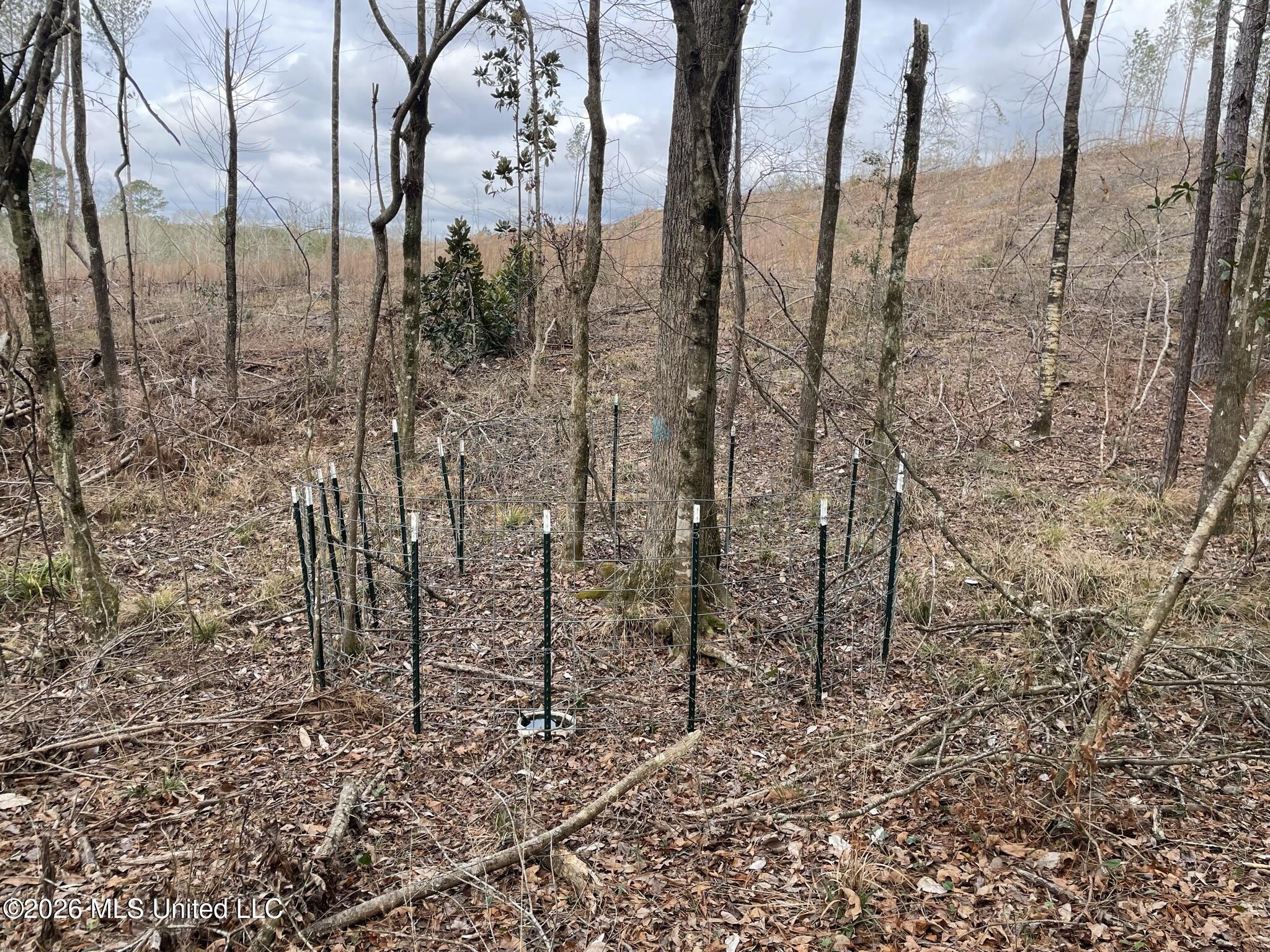 371 Southwest Low Water Lane Brookhaven, MS 39601 - Photo 7 of 12 IMG_0914