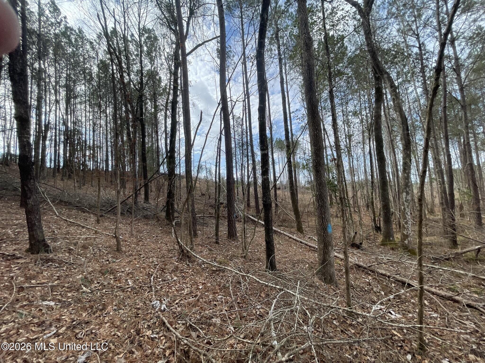 371 Southwest Low Water Lane Brookhaven, MS 39601 - Photo 8 of 12 IMG_0915