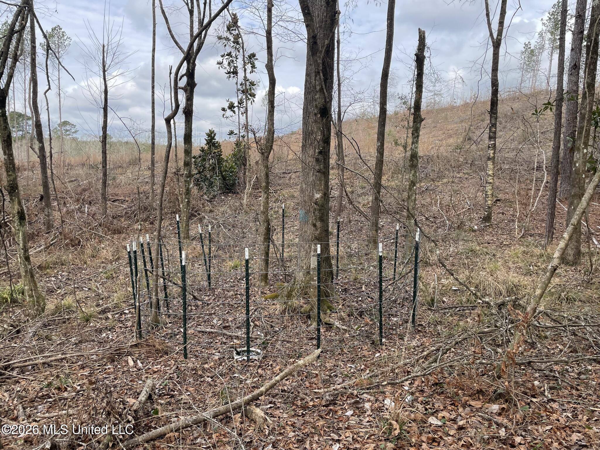 371 Southwest Low Water Lane Brookhaven, MS 39601 - Photo 9 of 12 IMG_0916