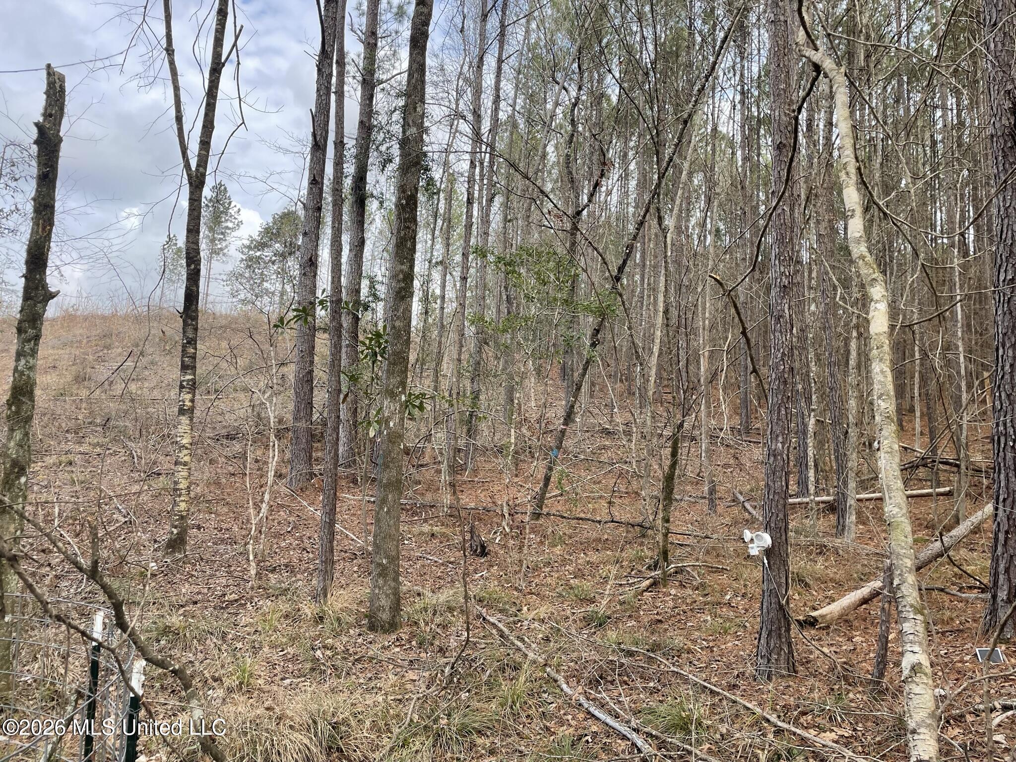 371 Southwest Low Water Lane Brookhaven, MS 39601 - Photo 10 of 12 IMG_0917