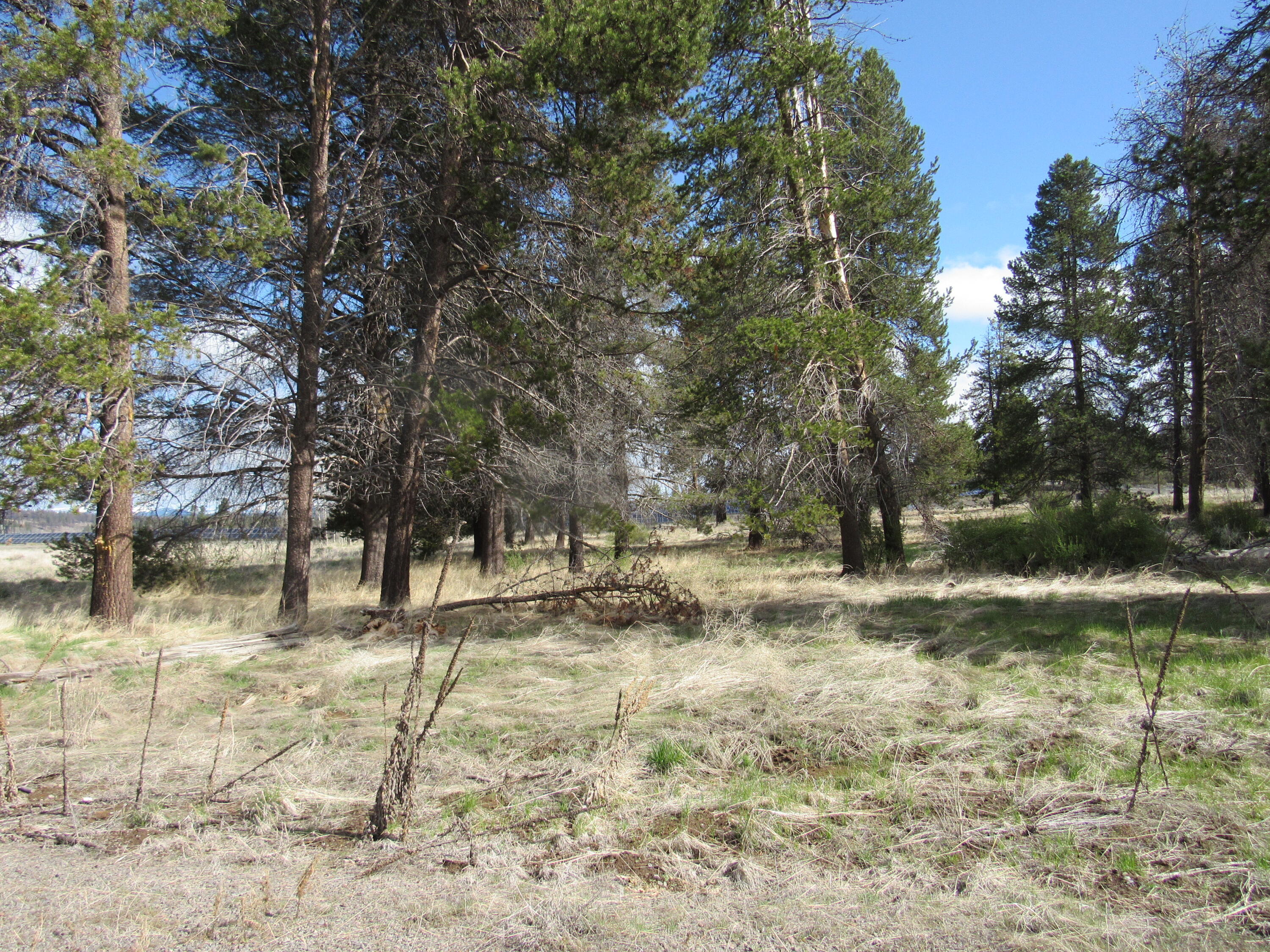 0 Longhorn Loop, Unit 883882 Chiloquin, OR 97624 - Photo 1 of 11 a view of a yard with a tree