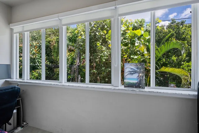 a view of a garden from a window