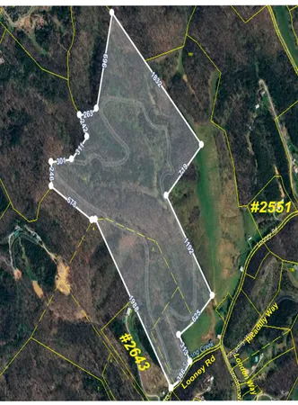 $322,050 | 0 Looney Road, Parrottsville, TN 37843