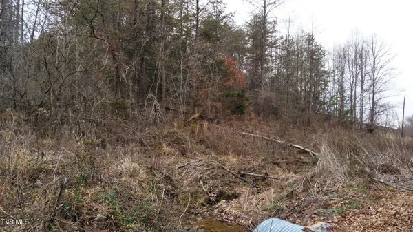 $322,050 | 0 Looney Road, Parrottsville, TN 37843
