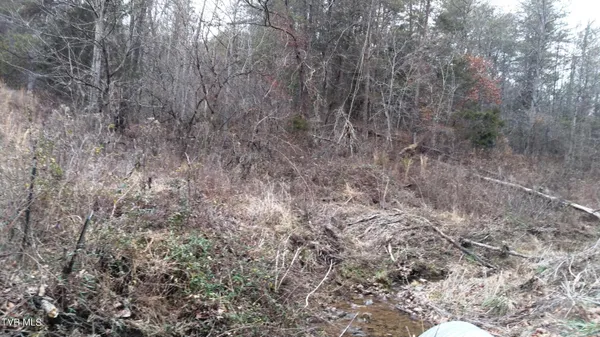 $322,050 | 0 Looney Road, Parrottsville, TN 37843