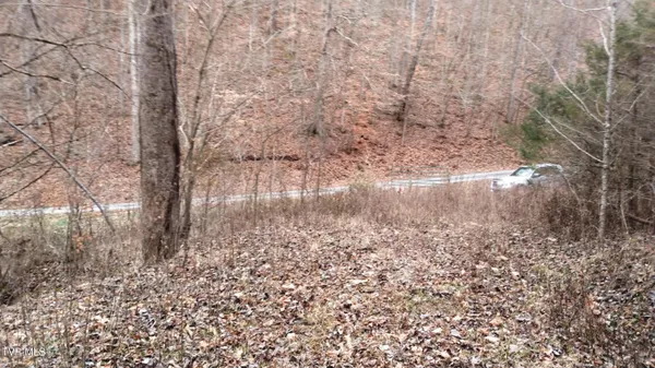 $322,050 | 0 Looney Road, Parrottsville, TN 37843