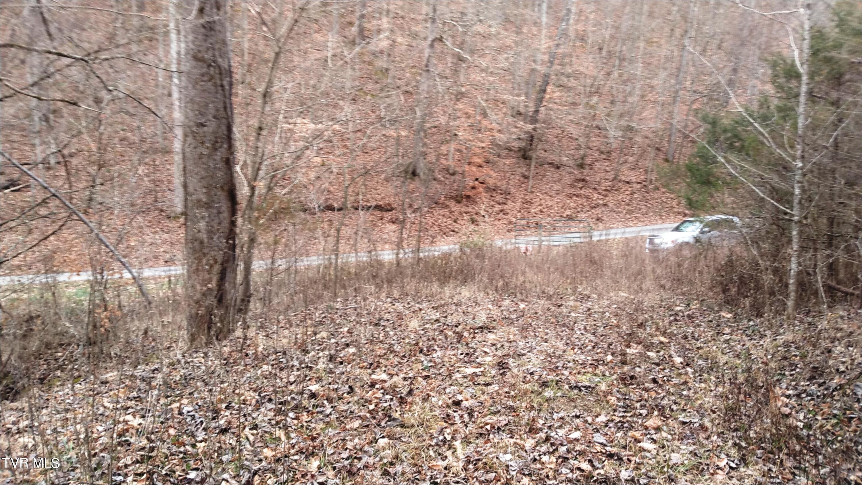 0 Looney Road Parrottsville, TN 37843 - Photo 16 of 41 Looney Rd Off