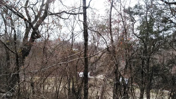 $322,050 | 0 Looney Road, Parrottsville, TN 37843