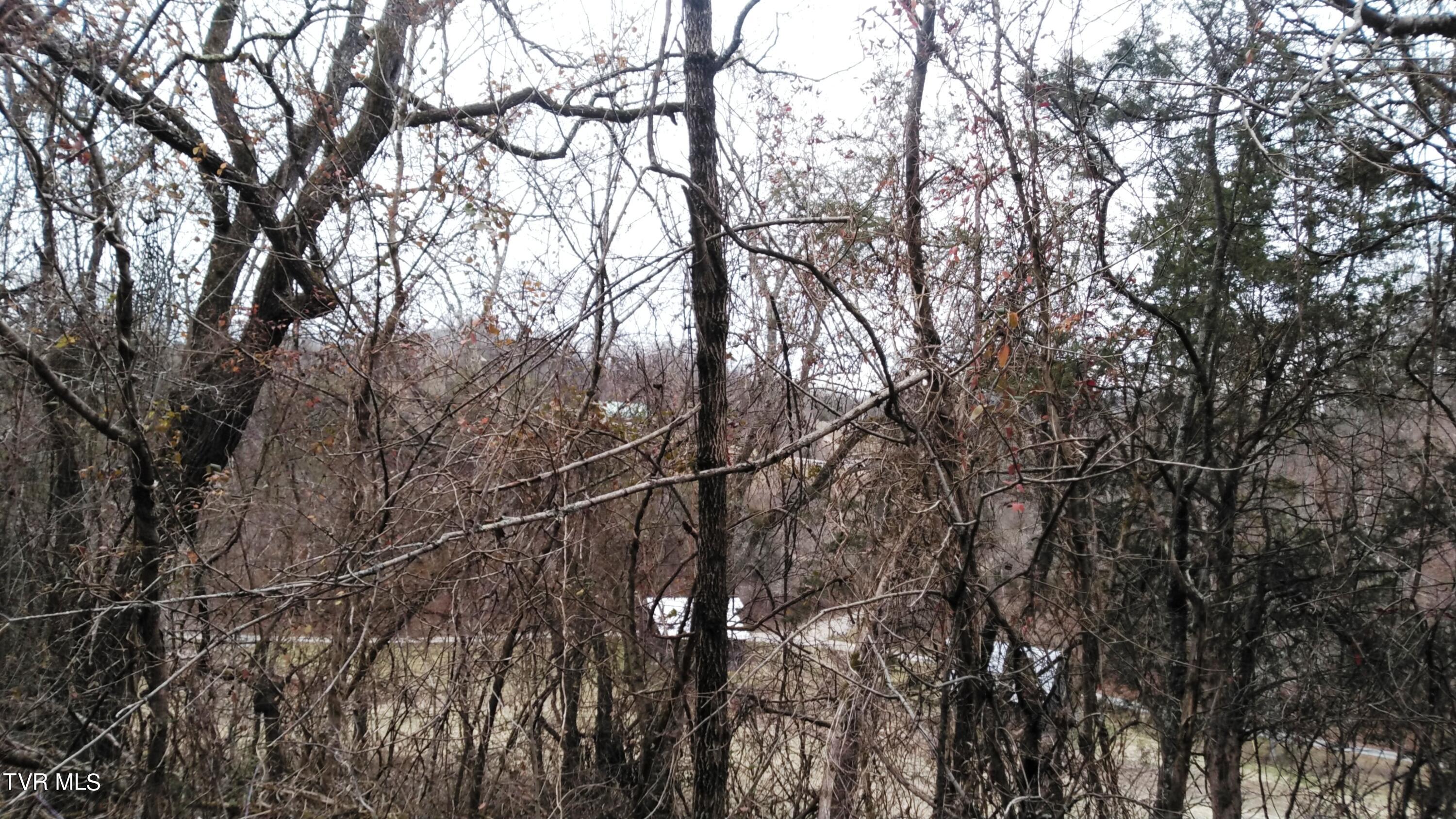 0 Looney Road Parrottsville, TN 37843 - Photo 17 of 41 Looney Rd Off