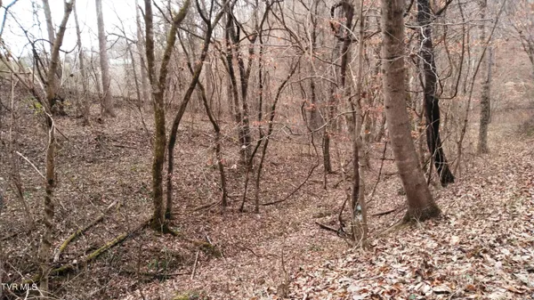 $322,050 | 0 Looney Road, Parrottsville, TN 37843