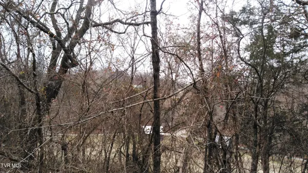 $322,050 | 0 Looney Road, Parrottsville, TN 37843