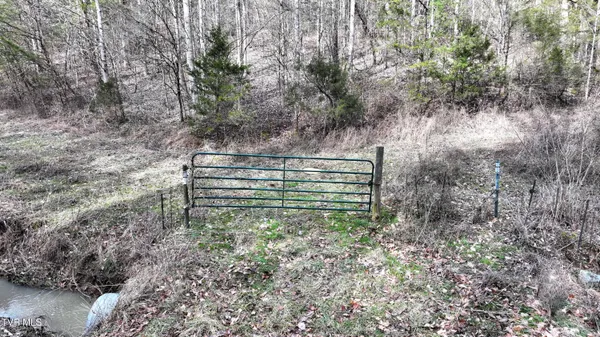 $322,050 | 0 Looney Road, Parrottsville, TN 37843