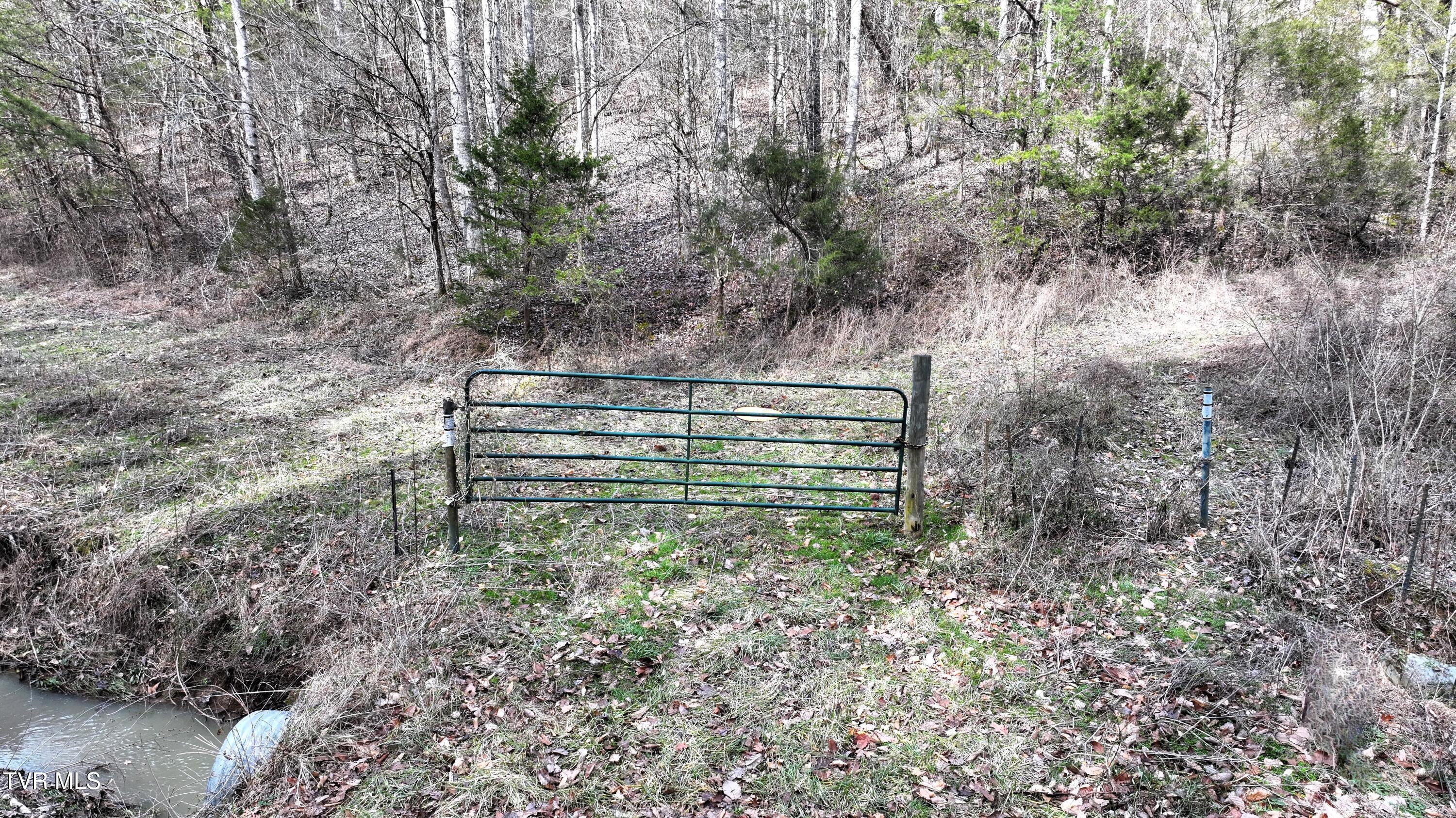 0 Looney Road Parrottsville, TN 37843 - Photo 20 of 41 DJI_20250214112316_0016_D