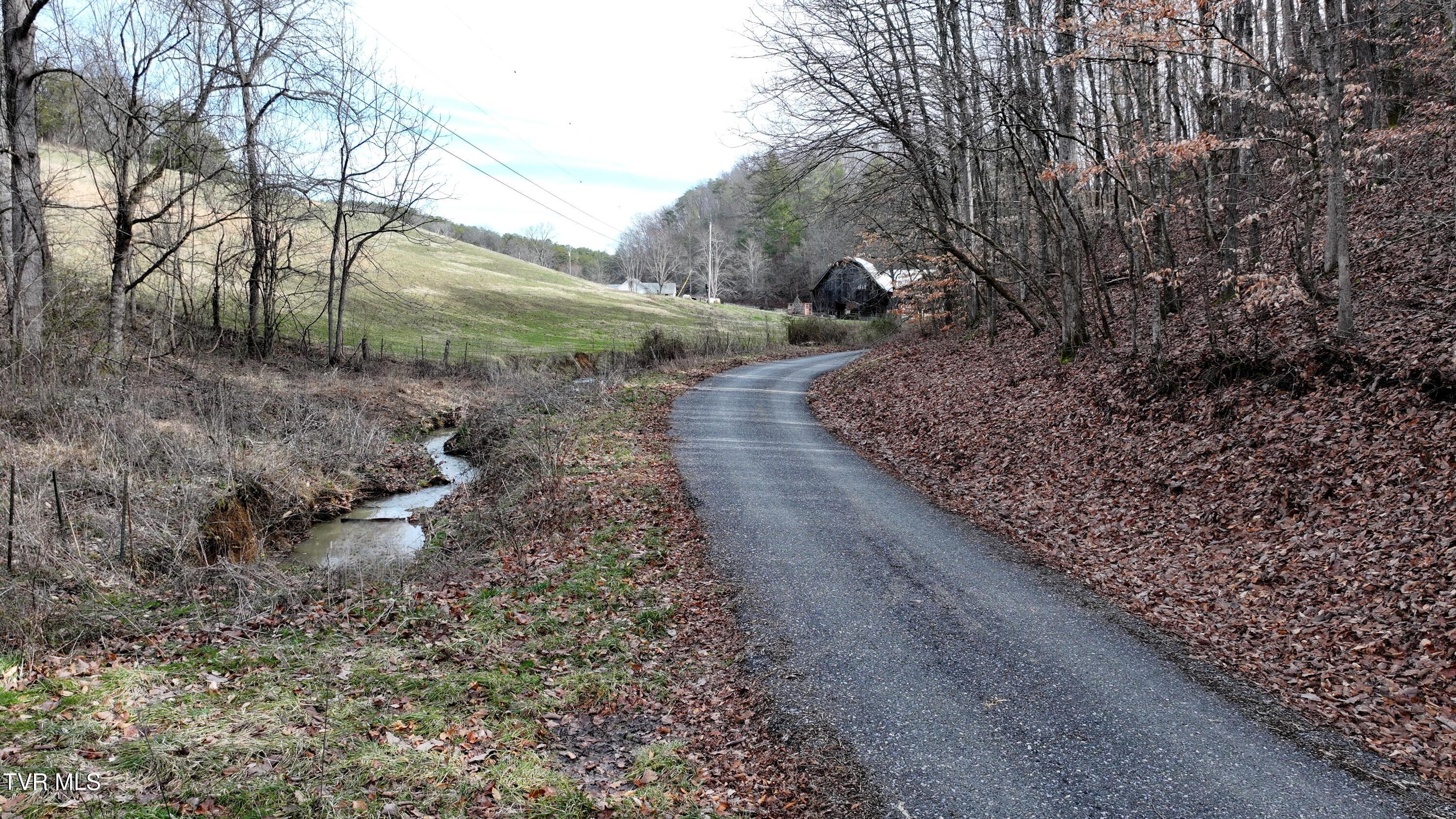 0 Looney Road Parrottsville, TN 37843 - Photo 21 of 41 DJI_20250214111218_0002_D