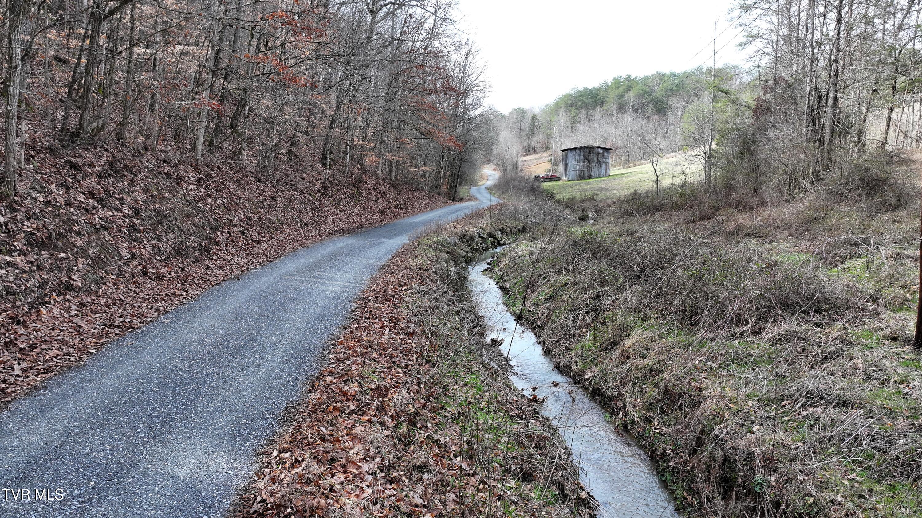 0 Looney Road Parrottsville, TN 37843 - Photo 22 of 41 DJI_20250214111159_0001_D