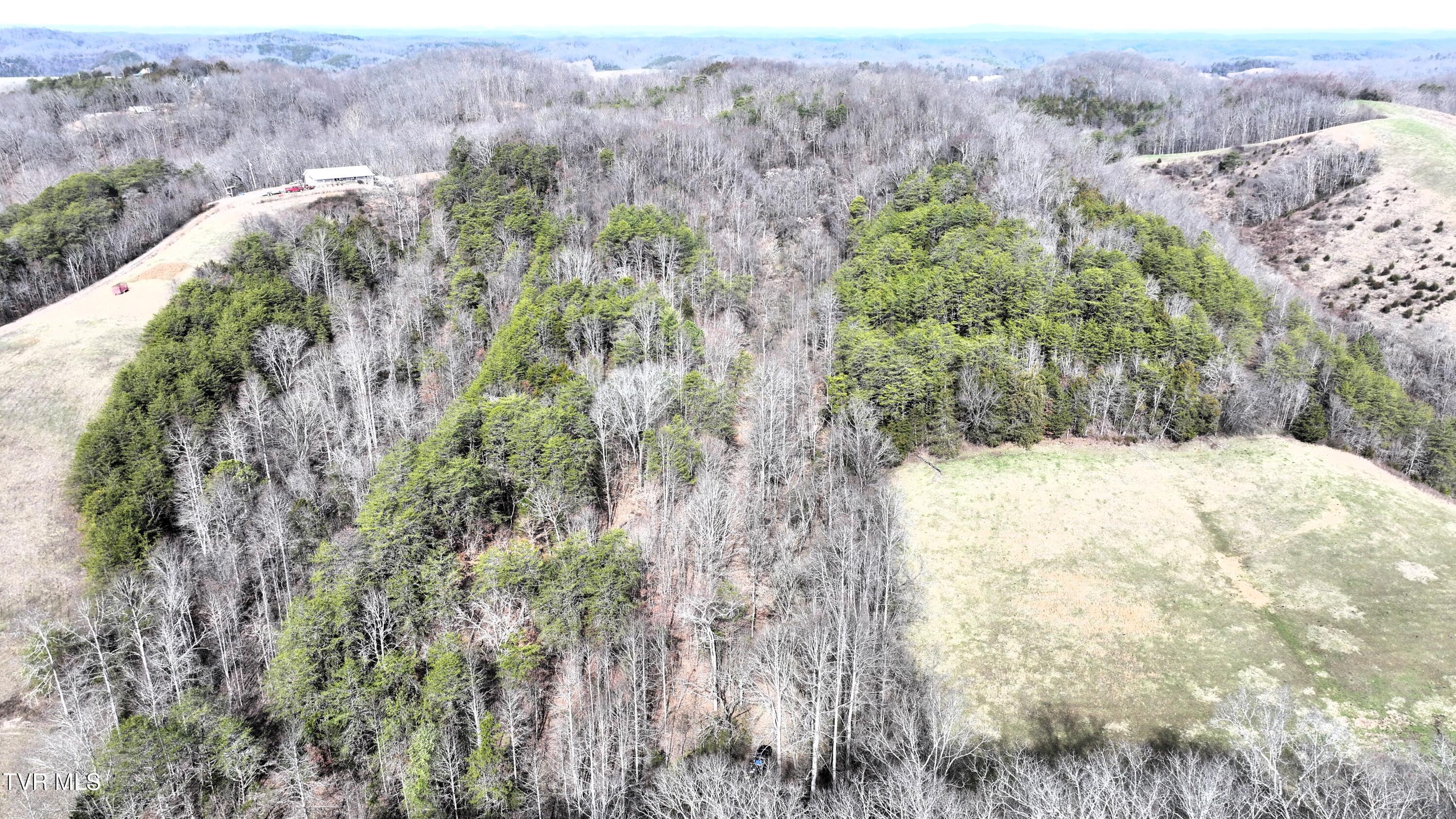 0 Looney Road Parrottsville, TN 37843 - Photo 23 of 41 DJI_20250214112054_0015_D