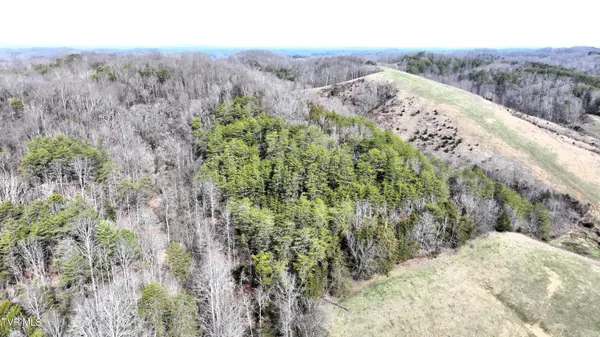 $322,050 | 0 Looney Road, Parrottsville, TN 37843